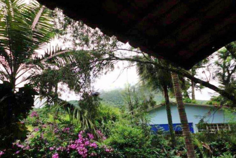 Casa, 5 quartos, 900 m² - Foto 5