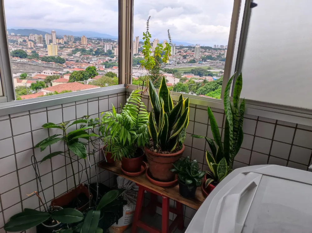 Apartamento, 2 quartos, 68 m² - Foto 1