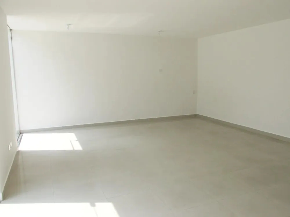 Casa, 4 quartos, 620 m² - Foto 10