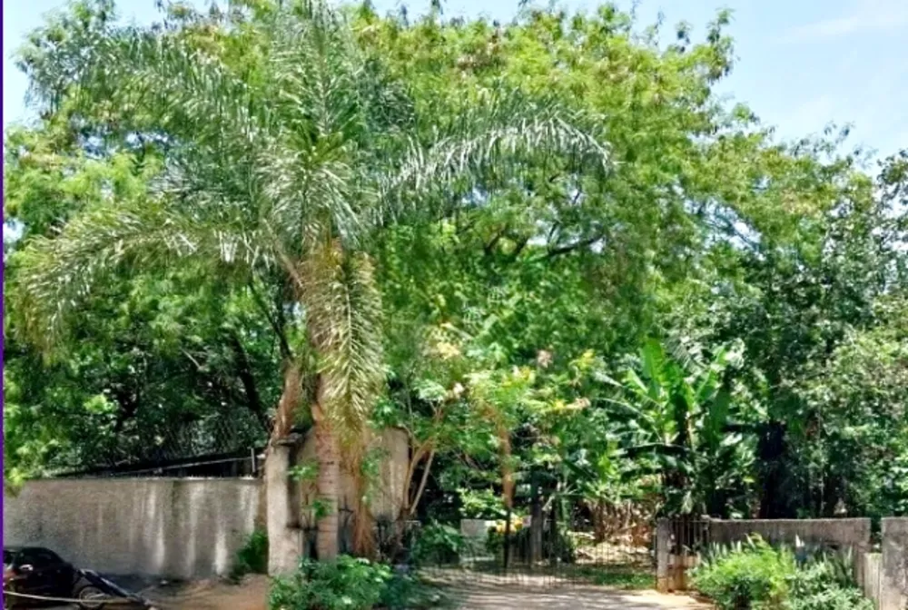 Terreno, 1450 m² - Foto 6