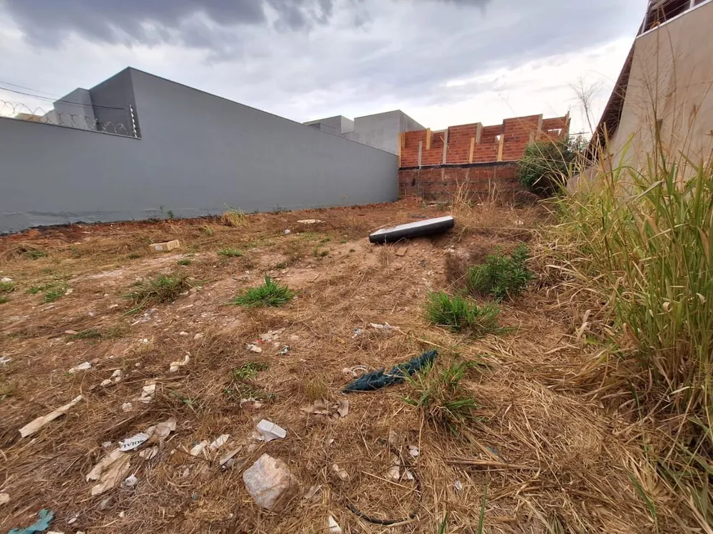 Terreno, 300 m² - Foto 2