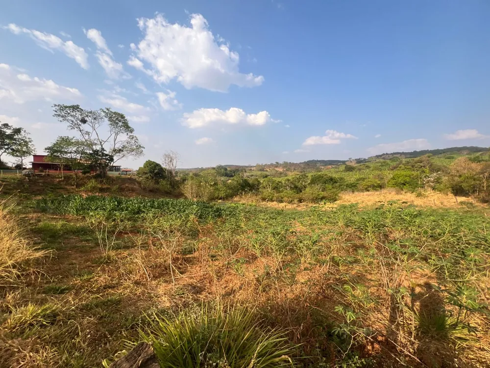 Chácara, 4 quartos, 5 hectares - Foto 11