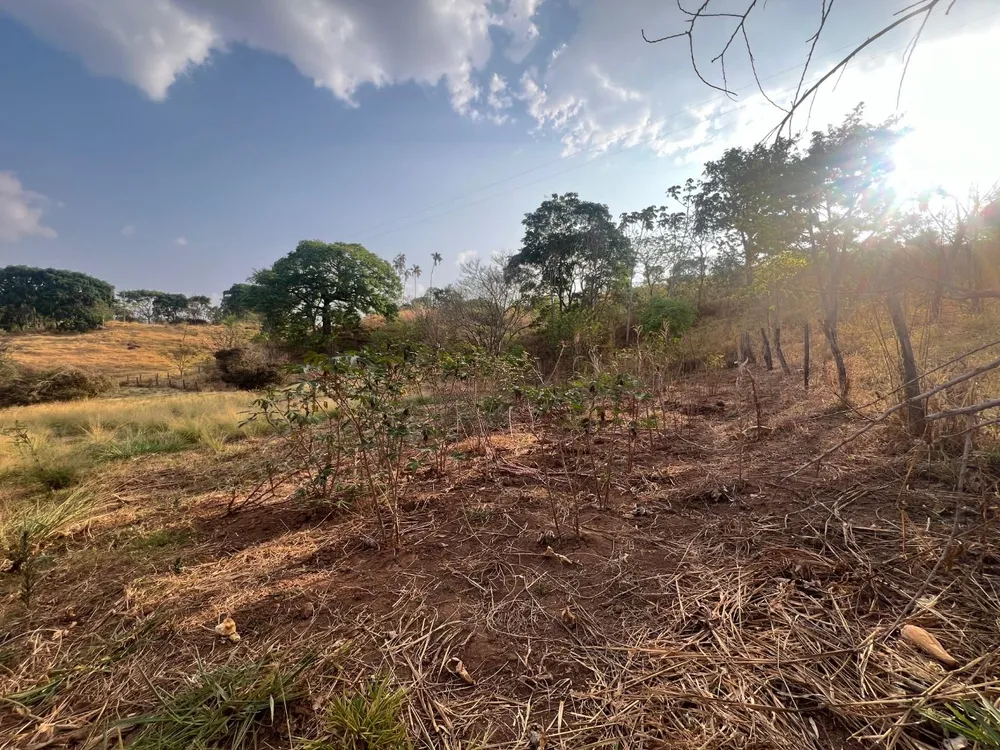Chácara, 4 quartos, 5 hectares - Foto 12