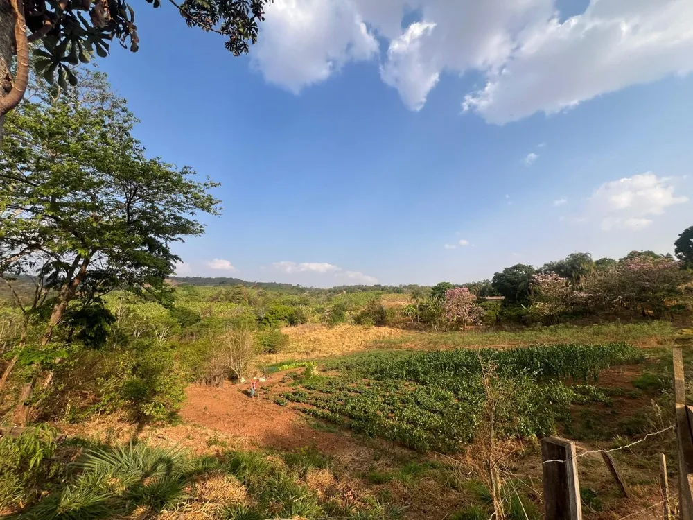 Chácara, 4 quartos, 5 hectares - Foto 10