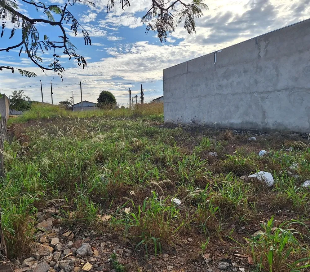 Terreno, 300 m² - Foto 1