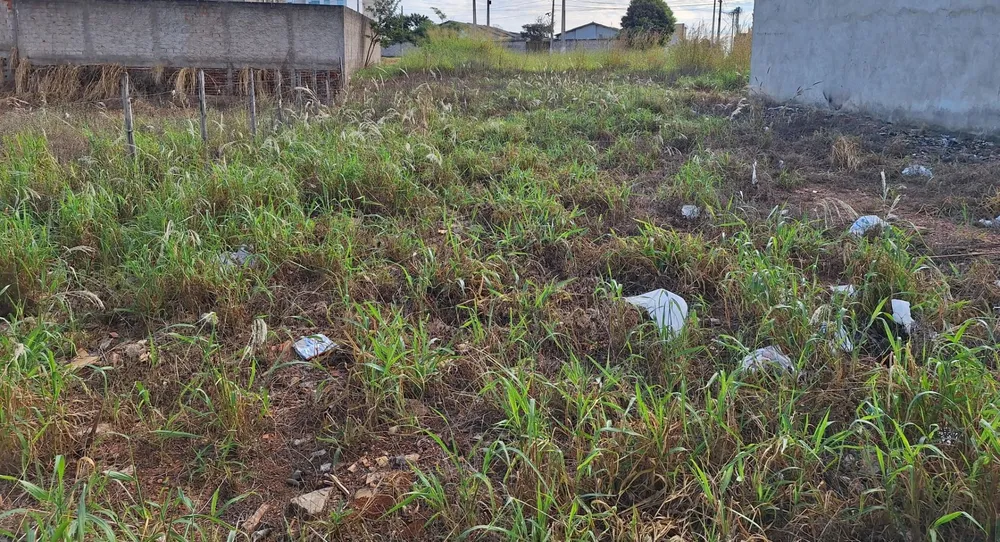 Terreno, 300 m² - Foto 2