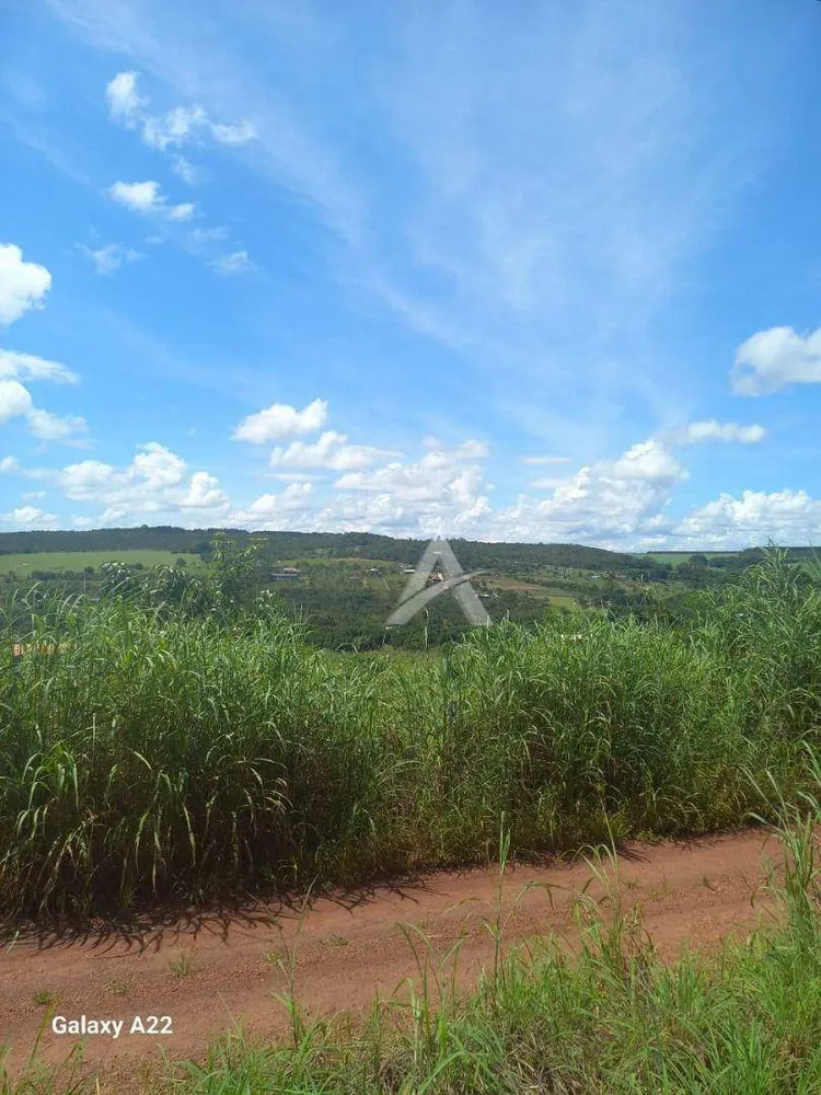 Chácara, 5300 m² - Foto 6