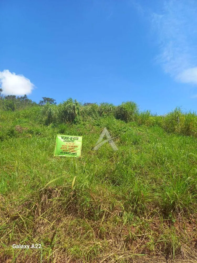 Chácara, 5300 m² - Foto 1