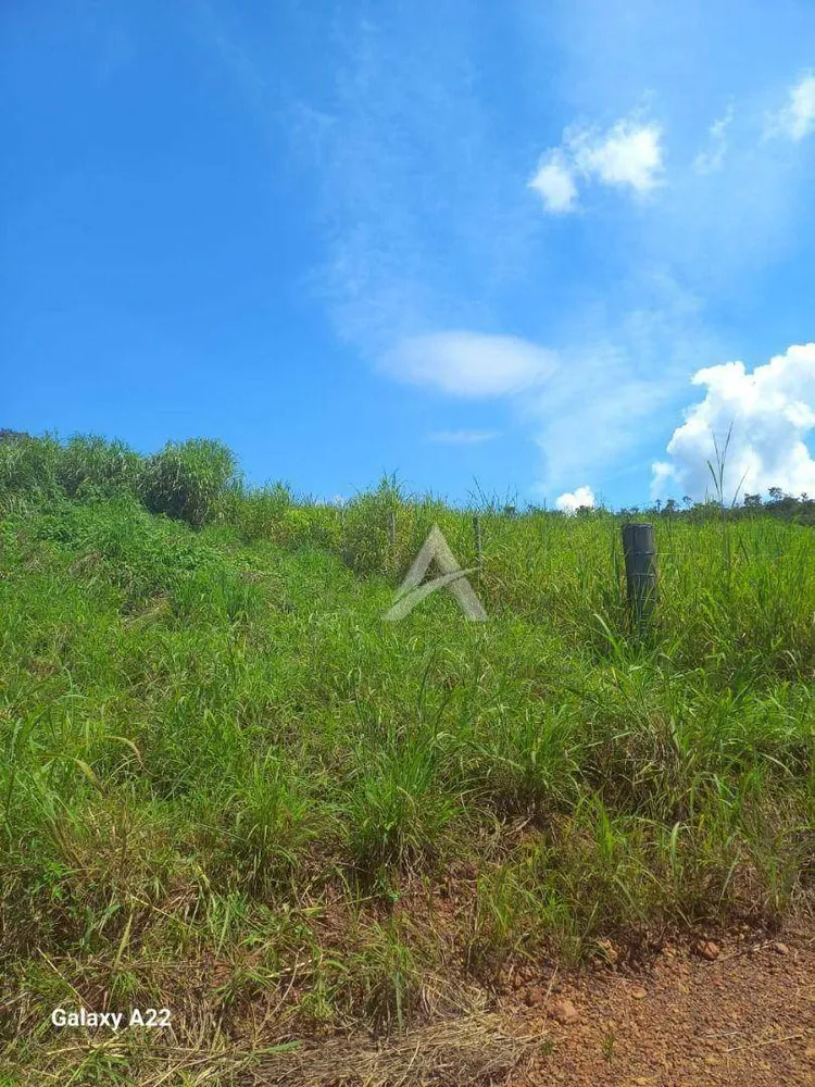 Chácara, 5300 m² - Foto 4