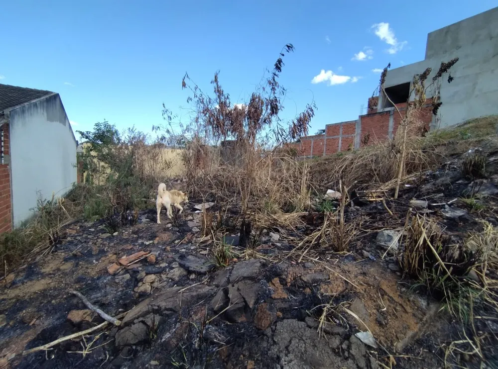 Terreno, 300 m² - Foto 1