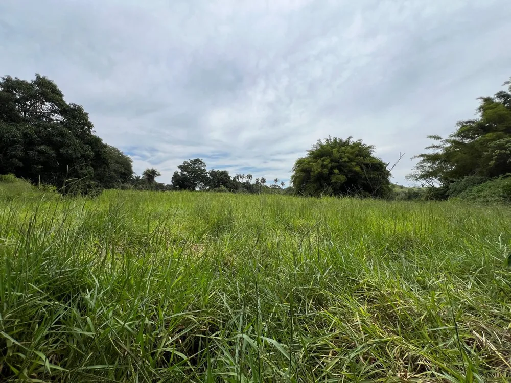 Chácara, 3 quartos, 5 hectares - Foto 14