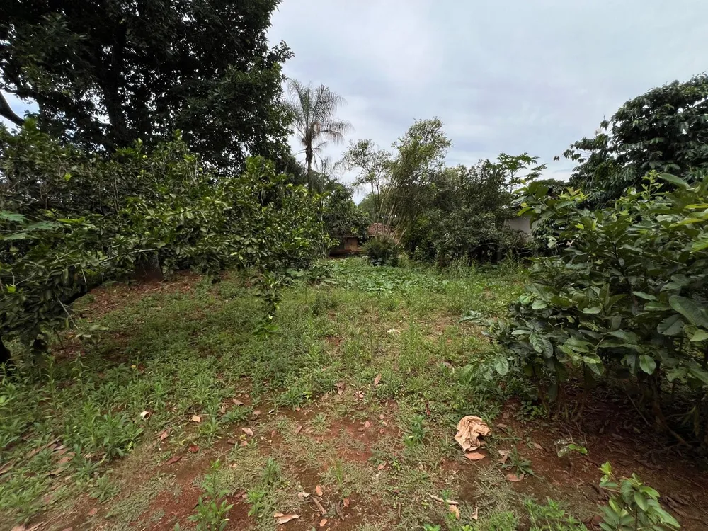 Chácara, 3 quartos, 5 hectares - Foto 16