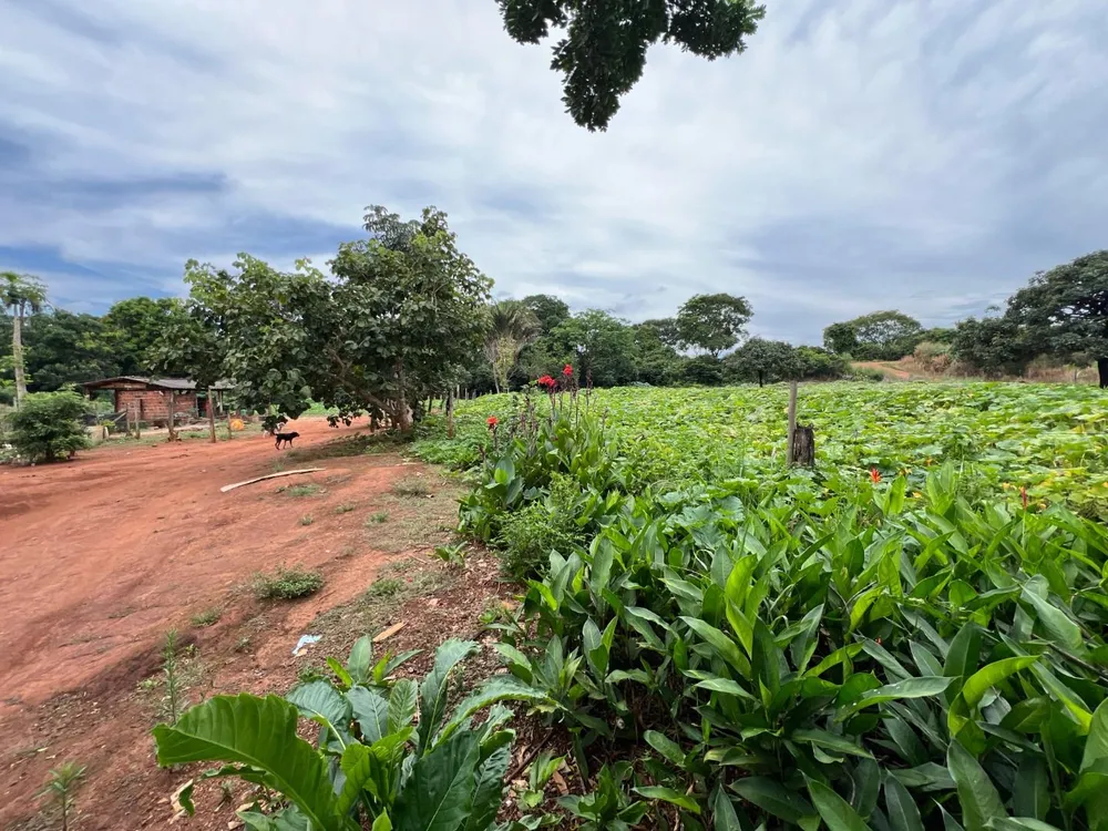 Chácara, 3 quartos, 5 hectares - Foto 7