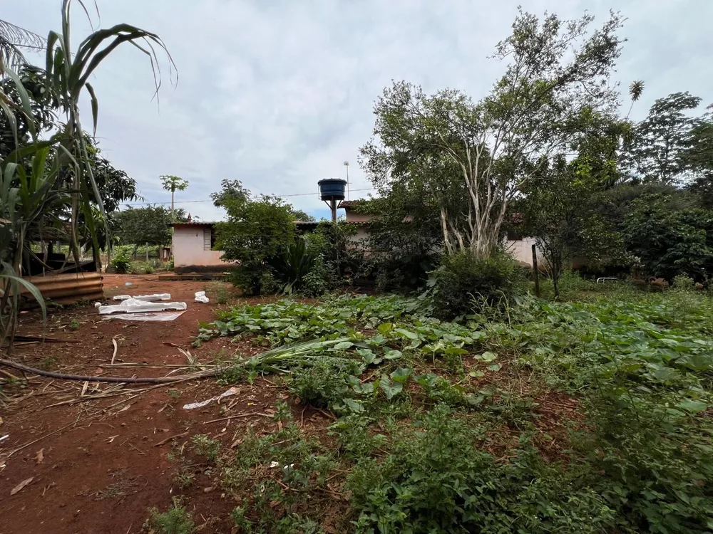 Chácara, 3 quartos, 5 hectares - Foto 4