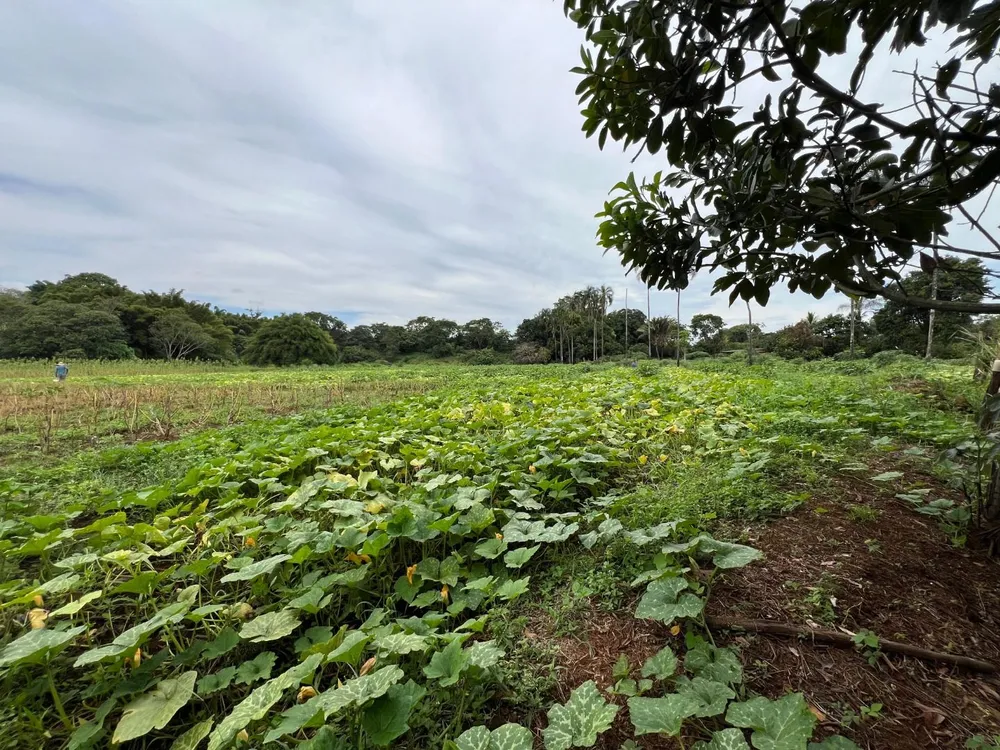 Chácara, 3 quartos, 5 hectares - Foto 15