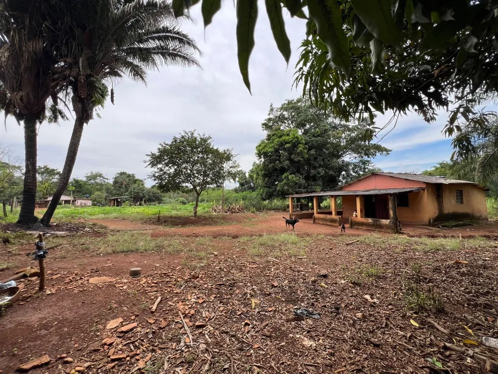 Chácara, 3 quartos, 5 hectares - Foto 6
