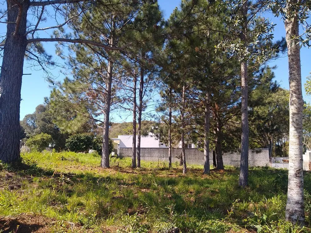 Terreno, 1284 m² - Foto 2