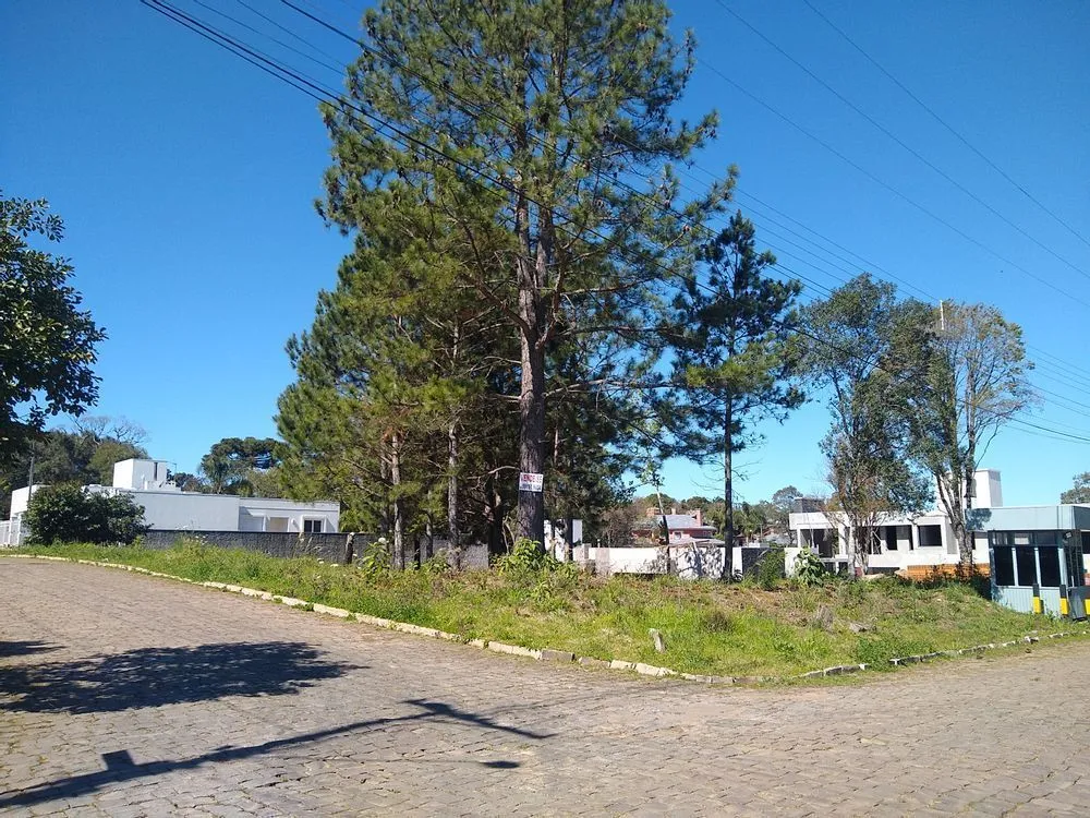 Terreno, 1284 m² - Foto 1