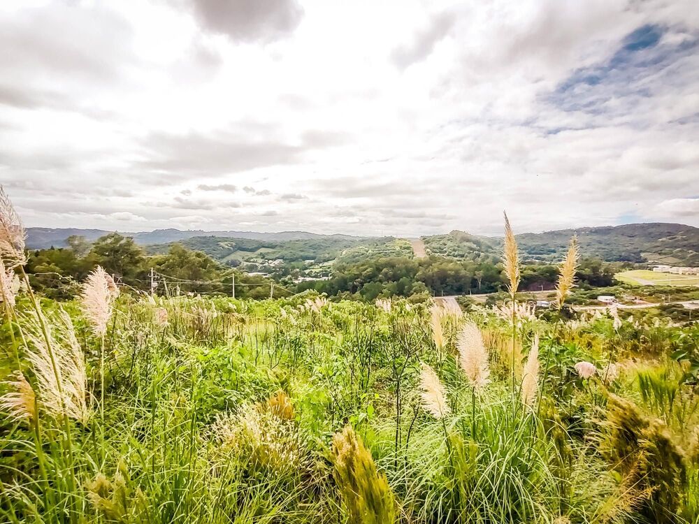 Terreno, 436 m² - Foto 3