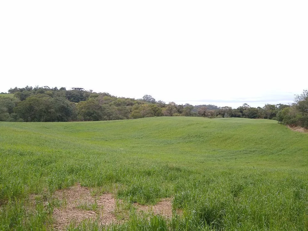 Terreno, 6 hectares - Foto 1