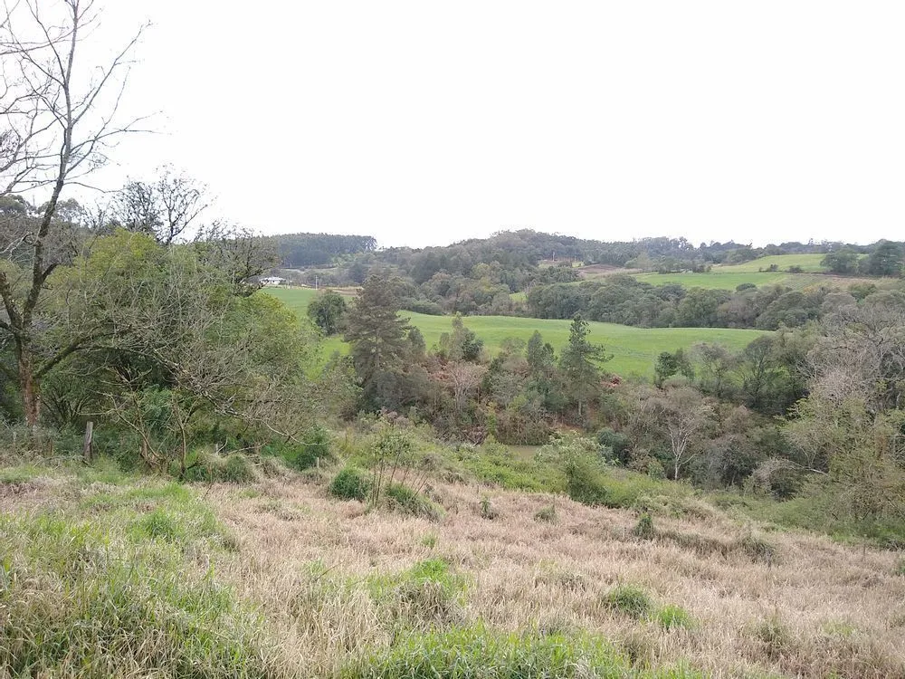 Terreno, 6 hectares - Foto 4