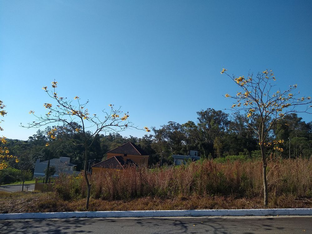 Terreno, 384 m² - Foto 2