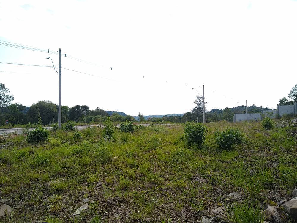 Terreno, 321 m² - Foto 6