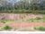 Terreno, 321 m² - Foto 1