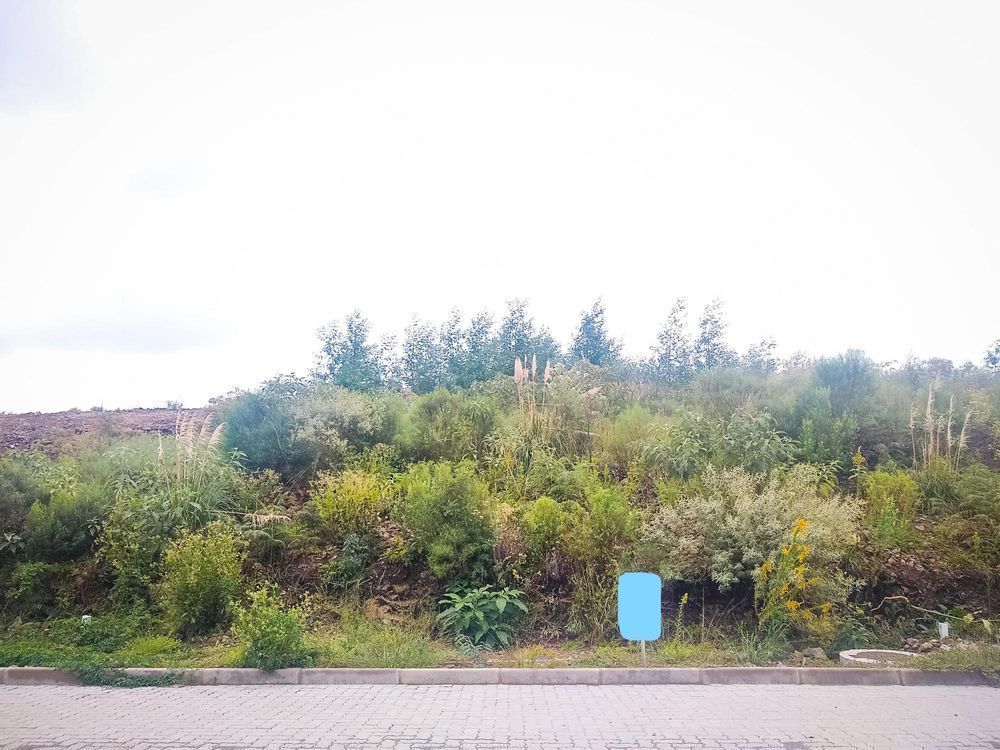 Terreno, 360 m² - Foto 1