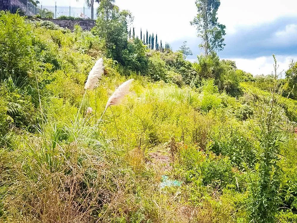 Terreno, 476 m² - Foto 3
