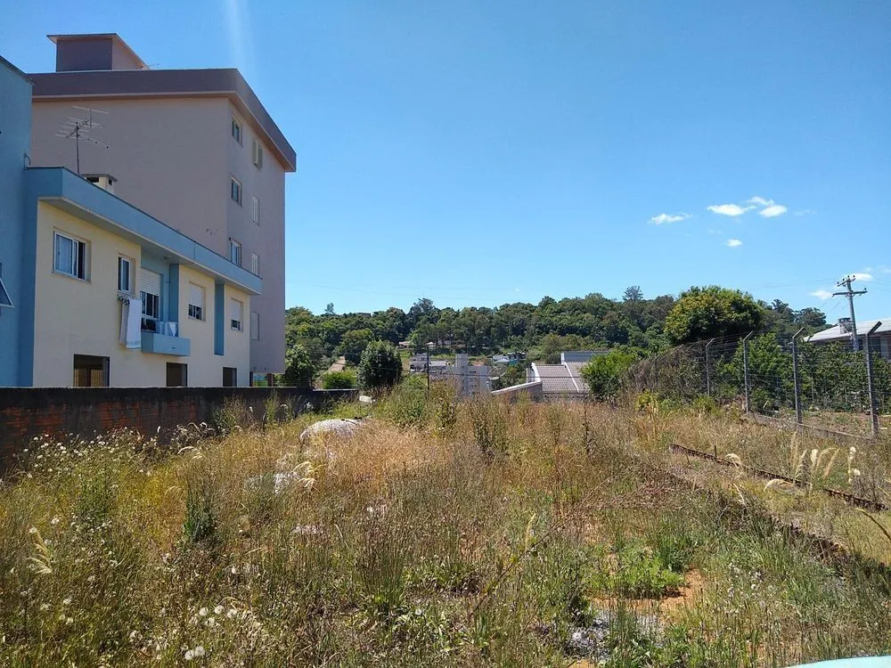 Terreno, 725 m² - Foto 3