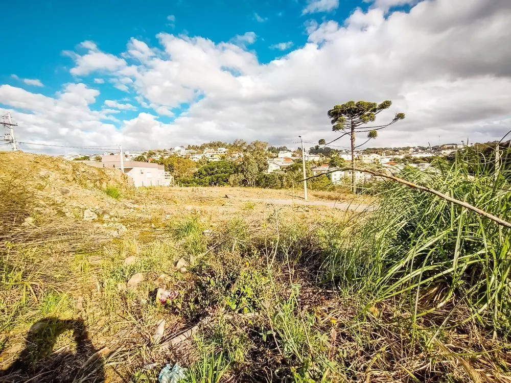 Terreno, 303 m² - Foto 3