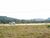 Terreno, 204 m² - Foto 5