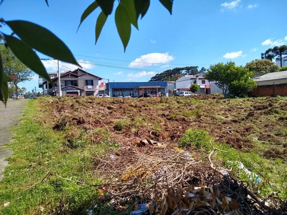 Terreno, 1020 m² - Foto 1