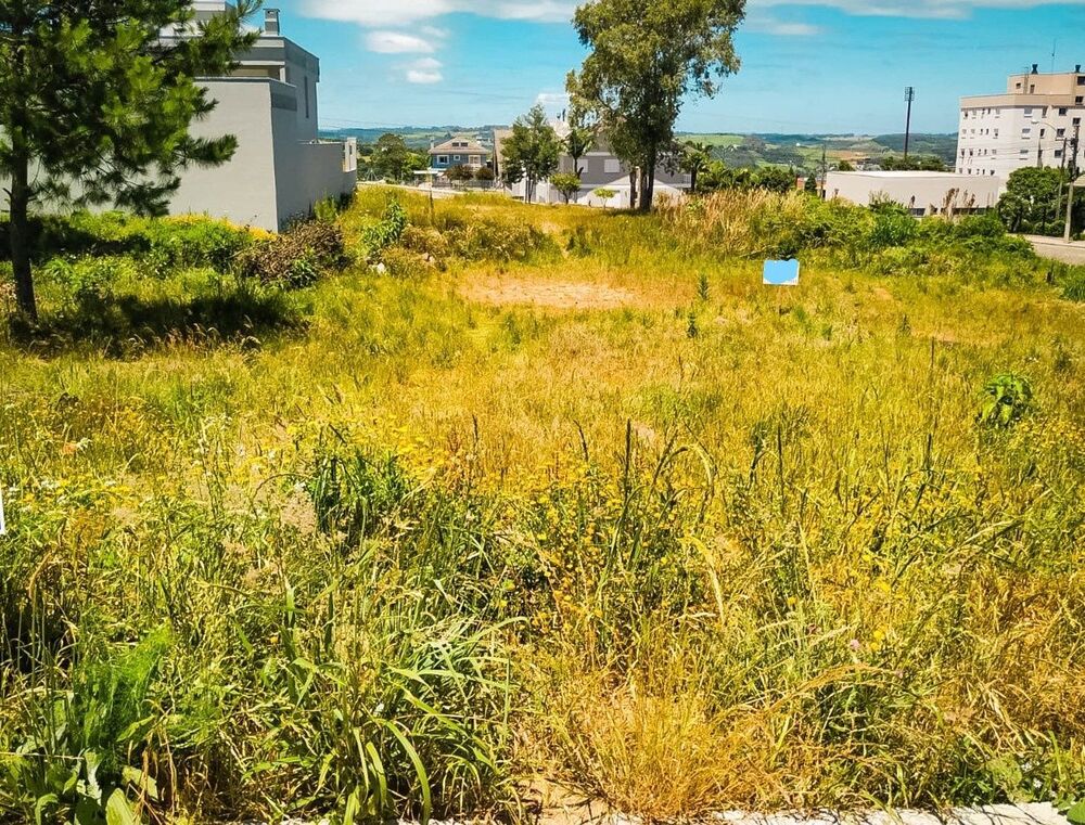 Terreno, 495 m² - Foto 3