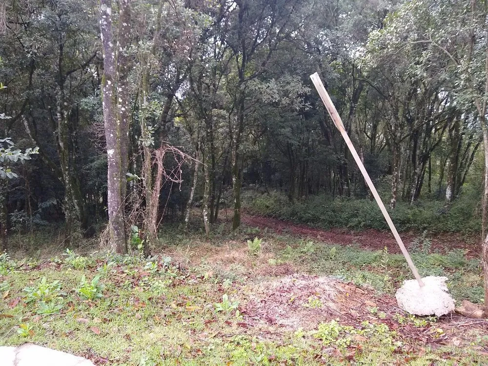 Terreno, 2159 m² - Foto 3