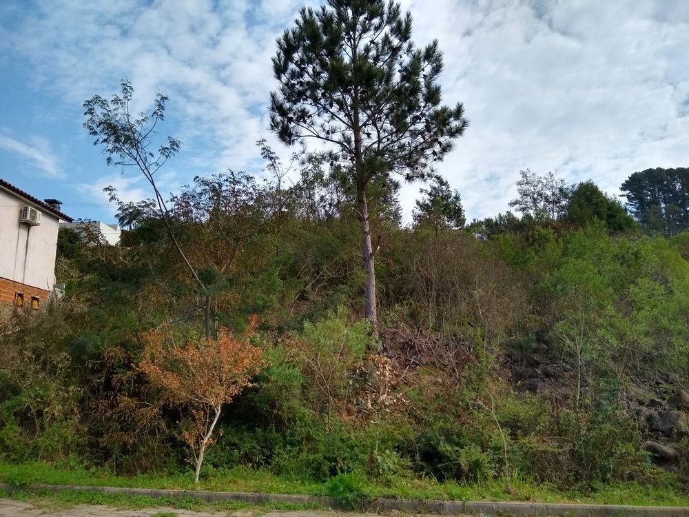 Terreno, 187 m² - Foto 1