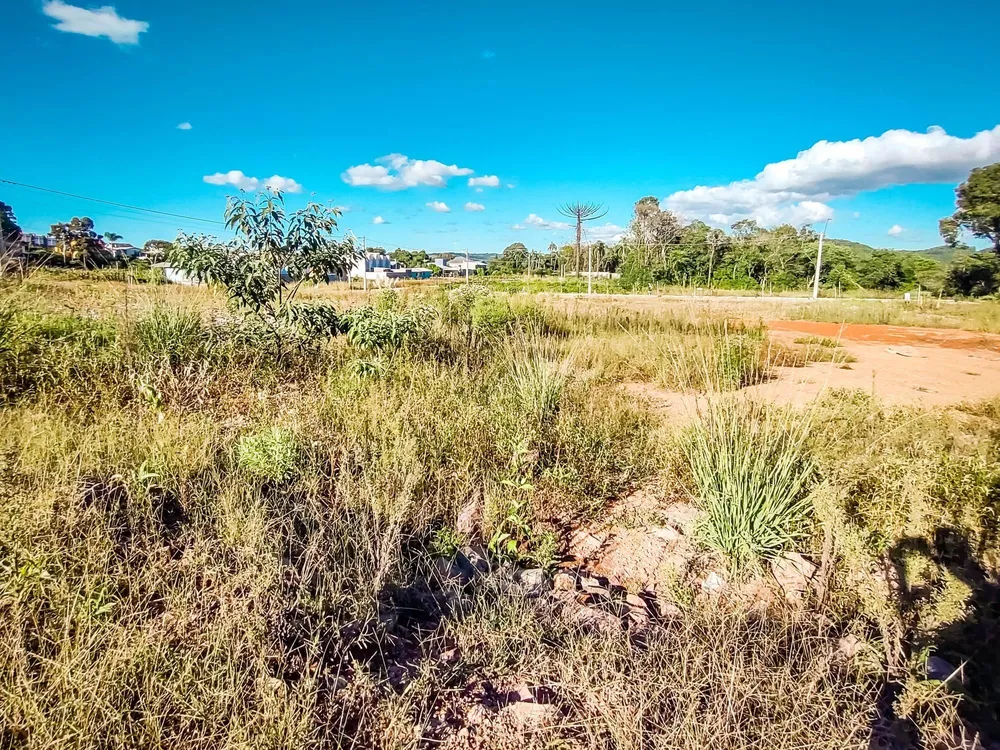 Terreno, 300 m² - Foto 4