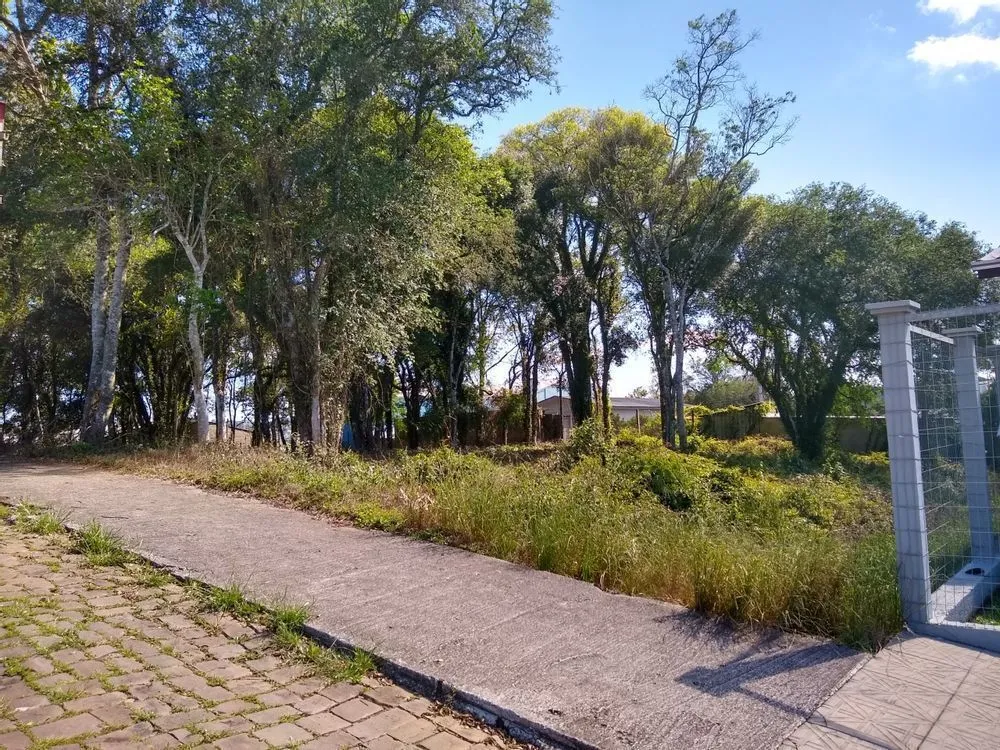 Terreno, 720 m² - Foto 4