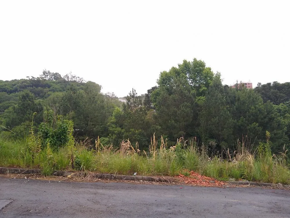 Terreno, 1106 m² - Foto 4