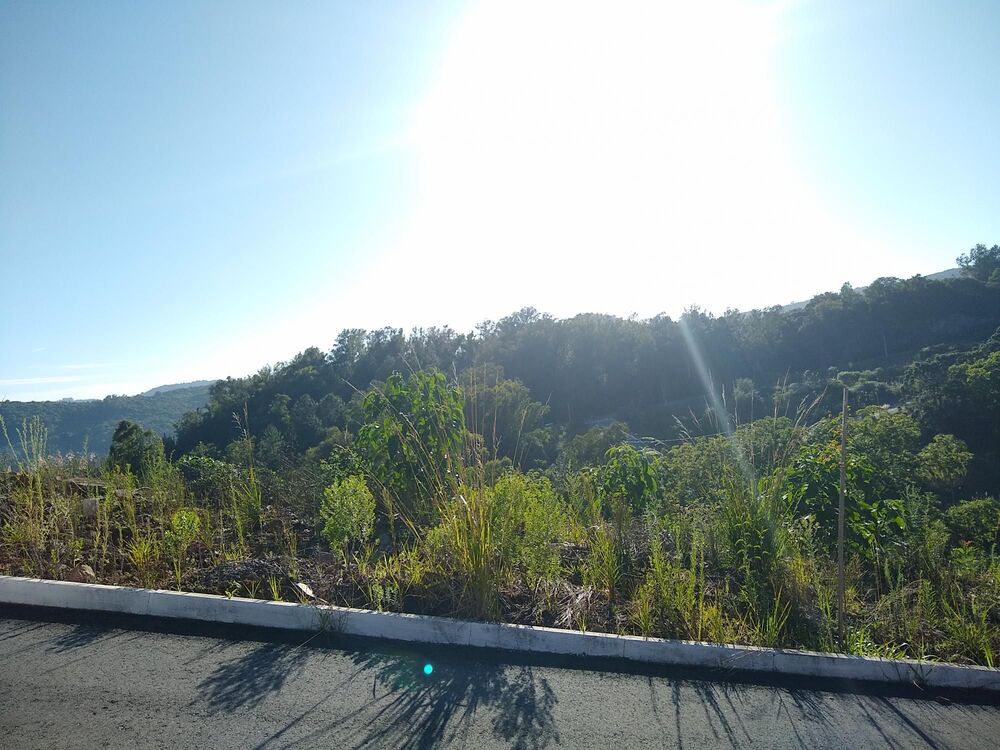 Terreno, 282 m² - Foto 3