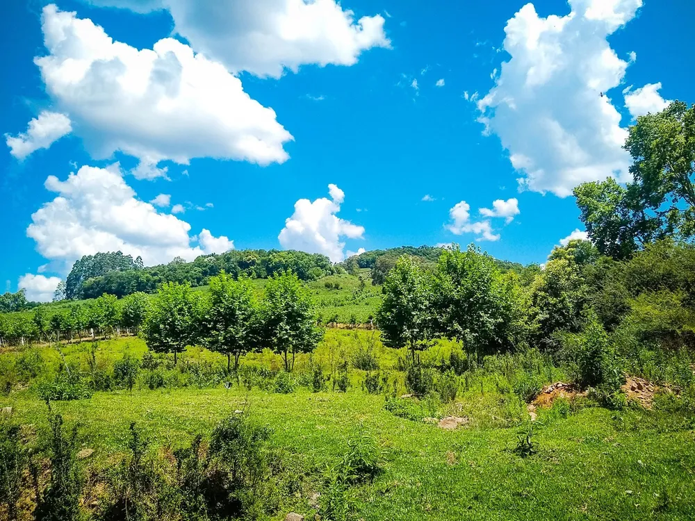 Terreno, 10 hectares - Foto 3