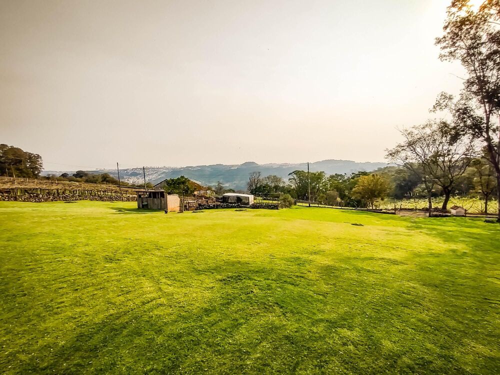 Terreno, 4 hectares - Foto 3