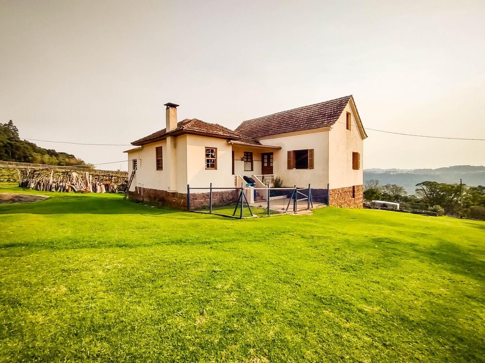 Terreno, 4 hectares - Foto 2