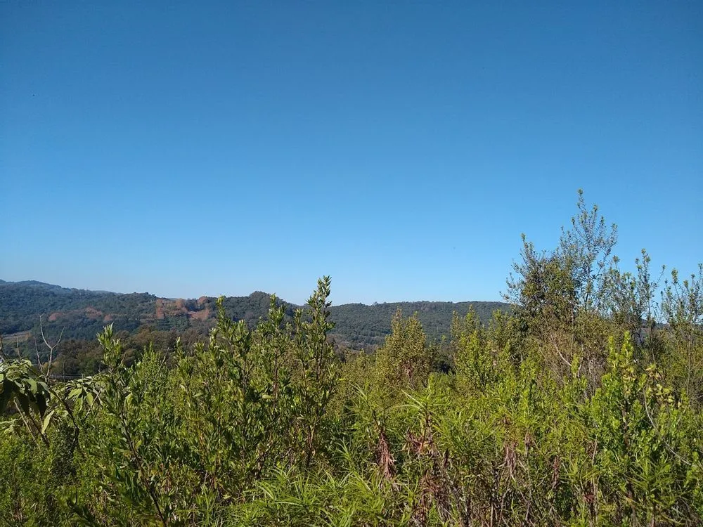 Terreno, 240 m² - Foto 1
