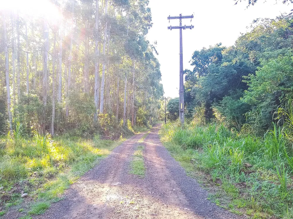 Terreno, 6 hectares - Foto 3