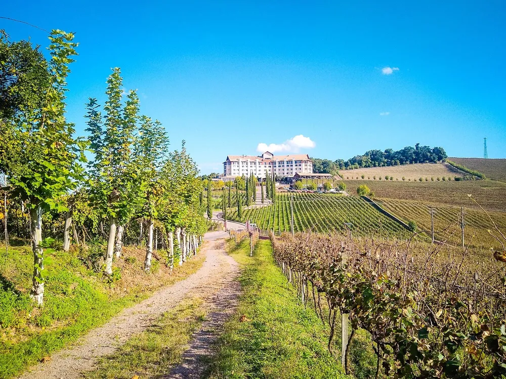 Terreno, 7 hectares - Foto 4