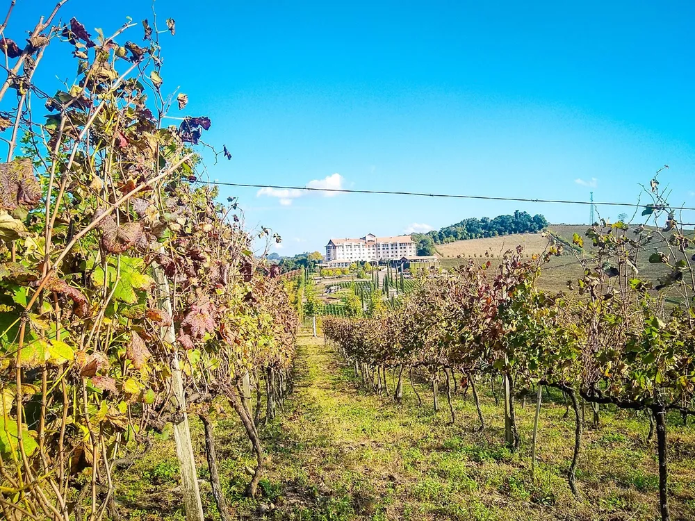 Terreno, 7 hectares - Foto 3
