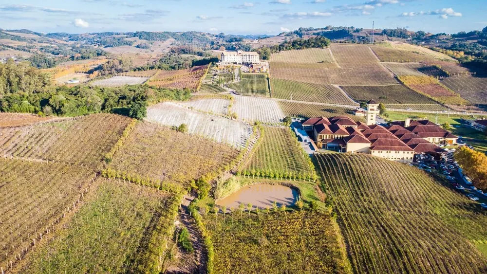 Terreno, 7 hectares - Foto 1