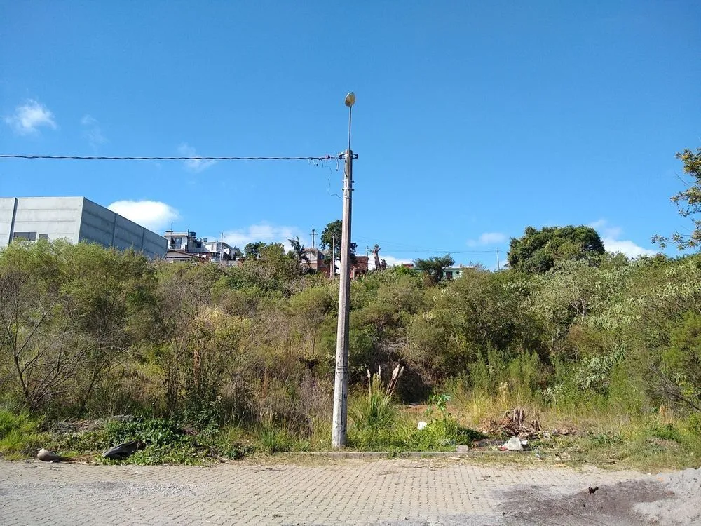 Terreno, 1739 m² - Foto 3